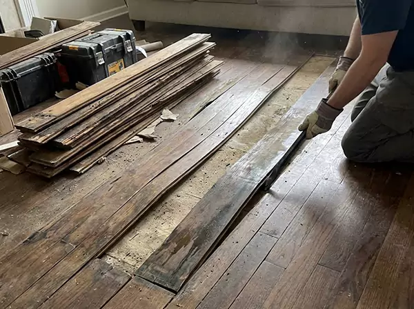 Water Damage Drying in Lithonia