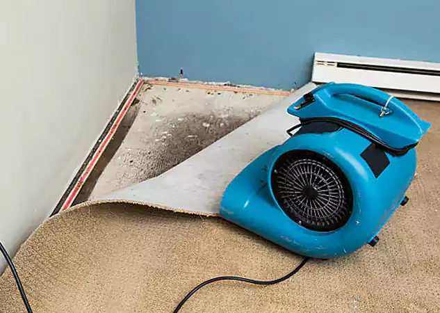 Your Water Damage Experts in Lithonia, GA