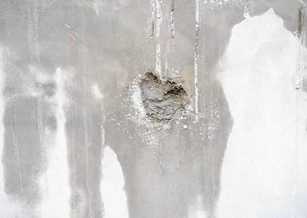 Your Mold Mitigation Solutions Partner in Lithonia, GA