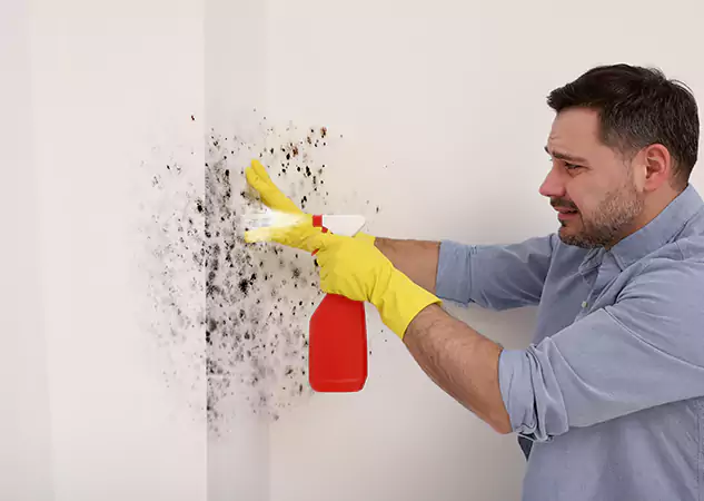 Your Water Mold Fire Restoration Partner in Lithonia, GA