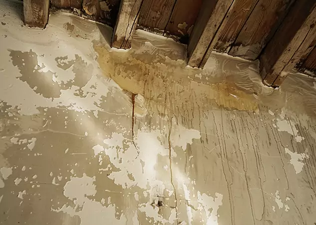 Your Trusted Restoration Company in Lithonia, GA
