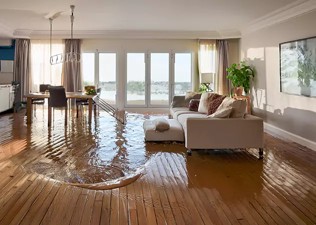 Your Water Removal Specialists in Lithonia, GA