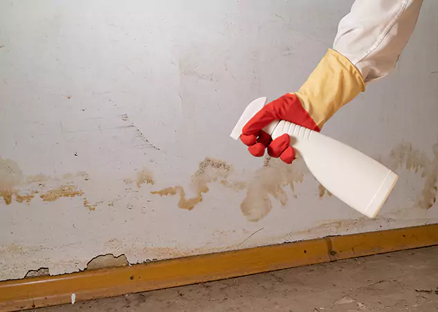 Your Water Restoration and Mold Remediation Specialists in Lithonia, GA