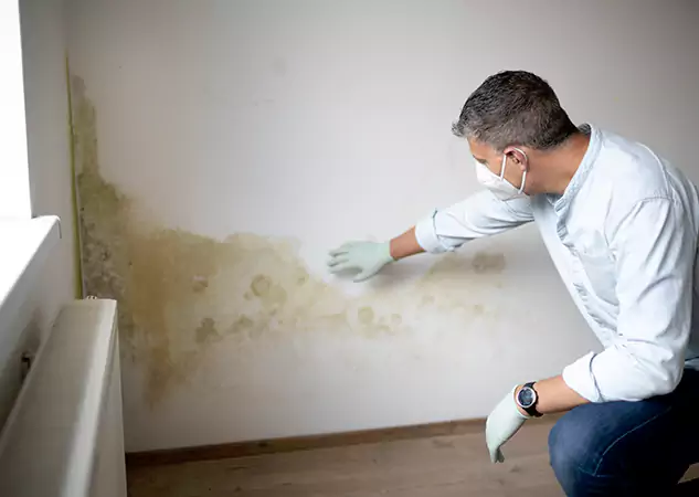 Reach Our Remediation Team Before Damage Grows in Lithonia, GA!