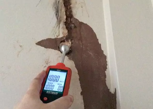 Your Water Damage Assessment Partner in Lithonia, GA