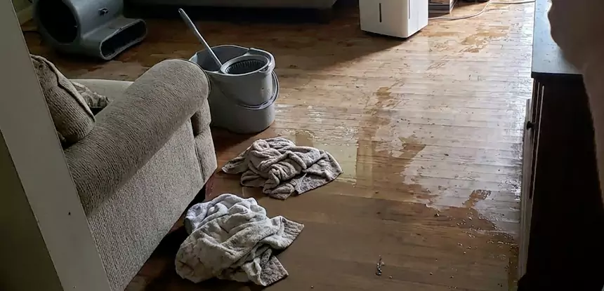 Professional Basement Water Remediation Services in Lithonia, GA