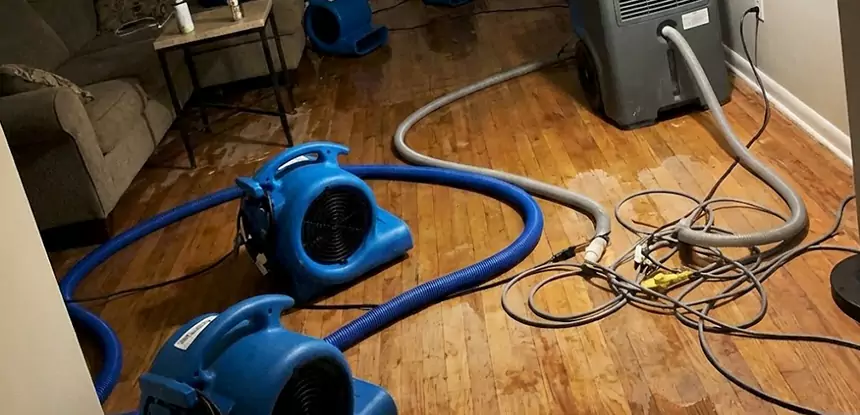Basement Flood Restoration Services in Lithonia