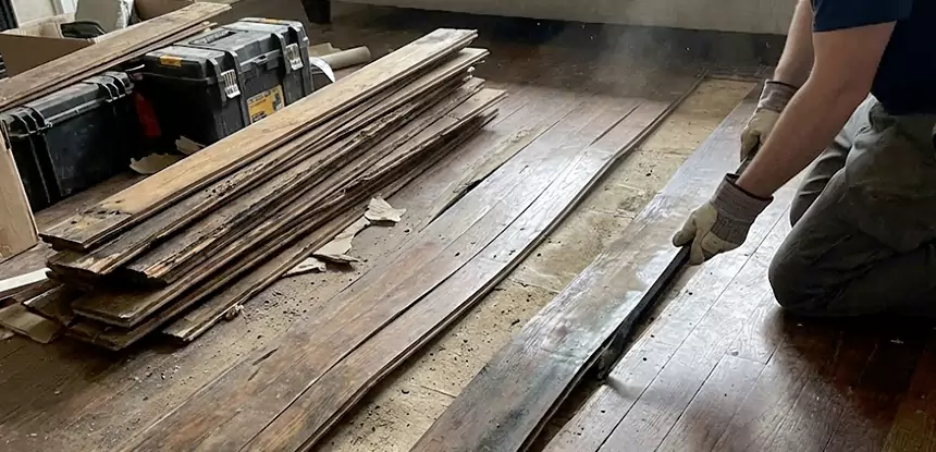 Wood Rot and Fungus Repair in Lithonia
