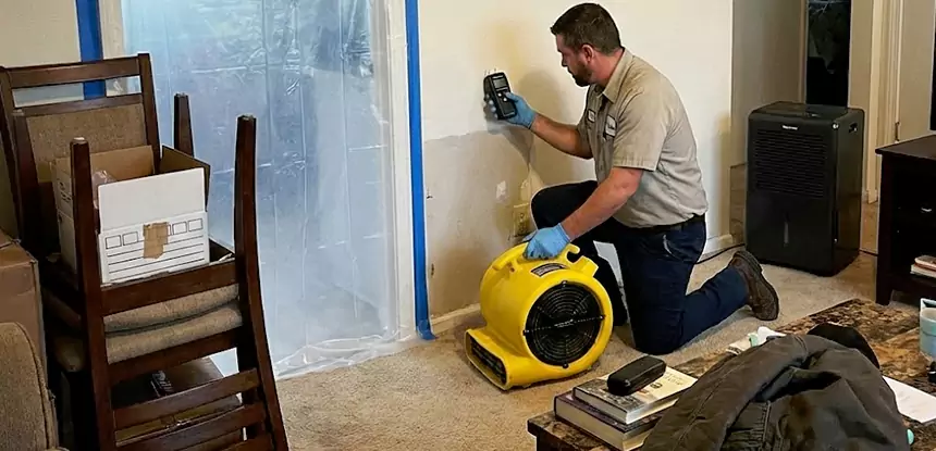Carpet Water Damage Repair Lithonia