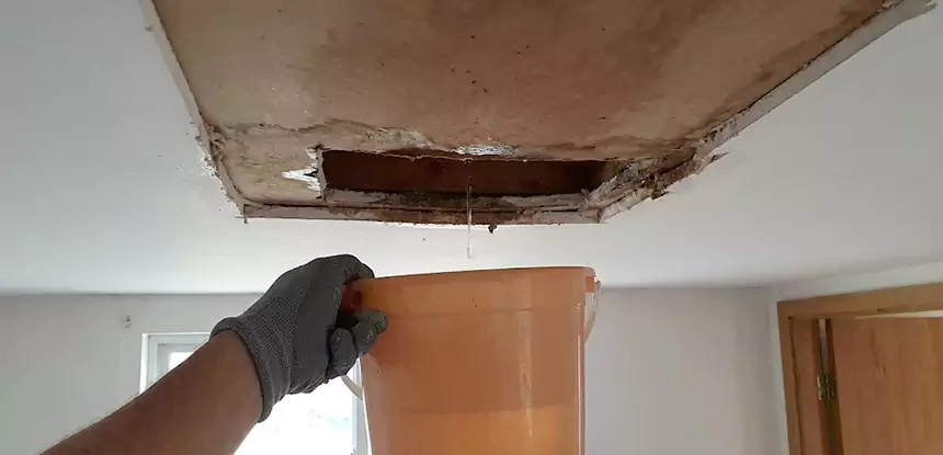 Ceiling Mold Repair Lithonia