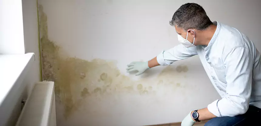 Mold and Water Damage Repair in Lithonia