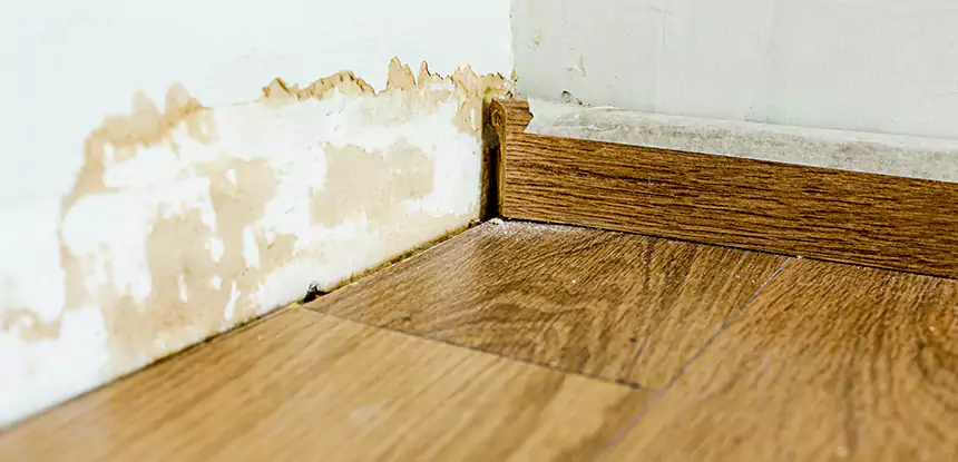Professional Fix Water Damaged Wood Services in Lithonia, GA