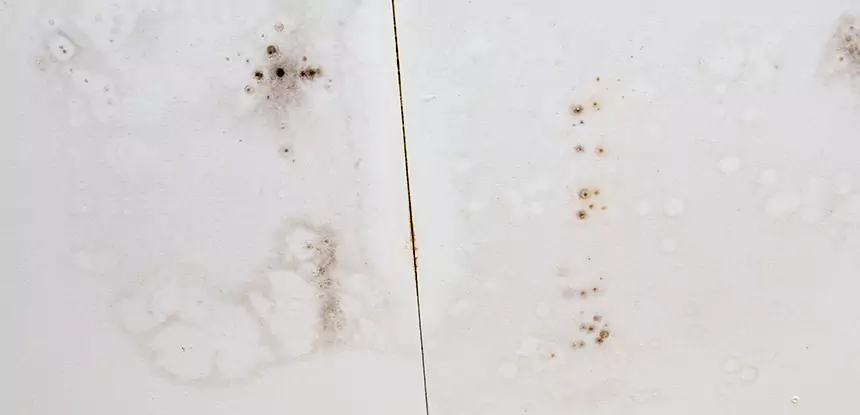 Professional Water Stain Repair Services in Lithonia, GA