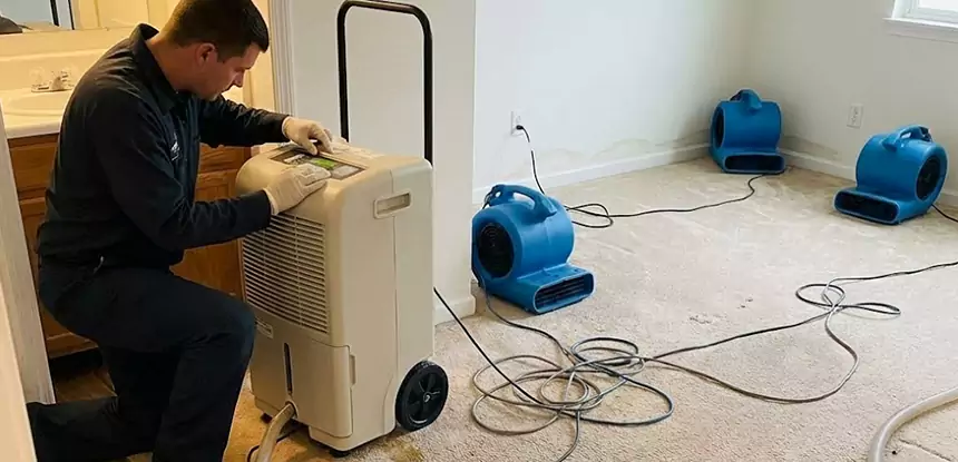 Professional Wet Carpet Removal Services in Lithonia, GA