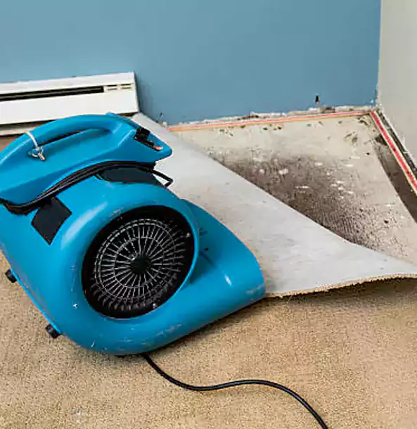 Why Lithonia Trusts Lithonia Restoration Pro for Carpet Flood Recovery?