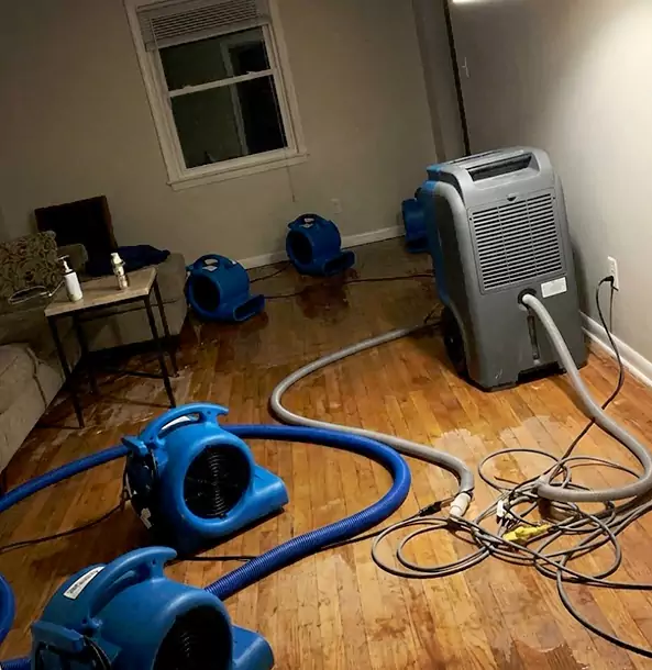 Why Lithonia Calls Lithonia Restoration Pro First for Emergency Restoration?