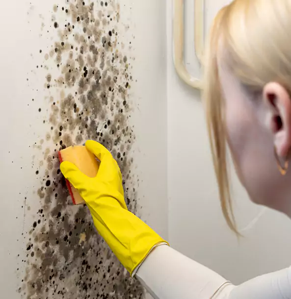 Why Lithonia Restoration Pro Leads Mold Remediation in Lithonia?