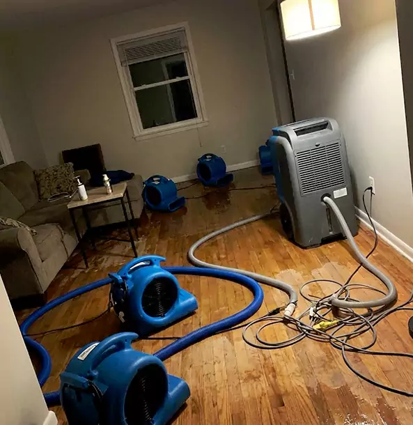 Why Lithonia Property Owners Rely on Lithonia Restoration Pro for Remediation?