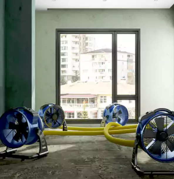 Why Lithonia Property Owners Trust Lithonia Restoration Pro for Water Damage Drying?
