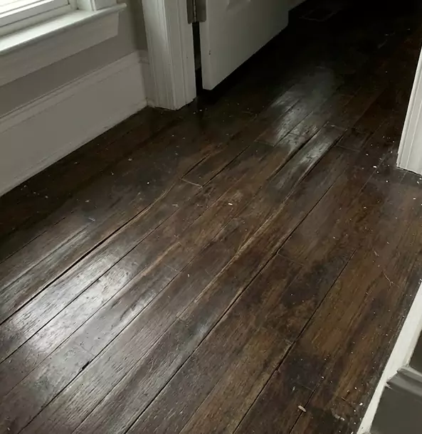 Why Lithonia Homeowners Trust Lithonia Restoration Pro to Fix Water Damaged Wood?