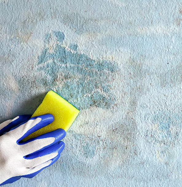 Why Lithonia Restoration Pro Is the Right Choice in Lithonia, GA?