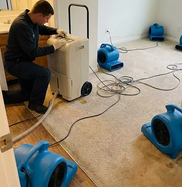 Why Lithonia Homeowners and Businesses Trust Lithonia Restoration Pro for Carpet Drying?