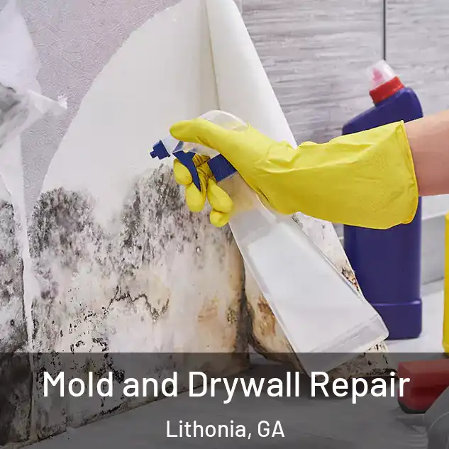  Mold and Drywall Repair Lithonia, GA
