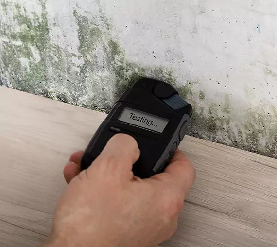 Mold Remediation Service Lithonia