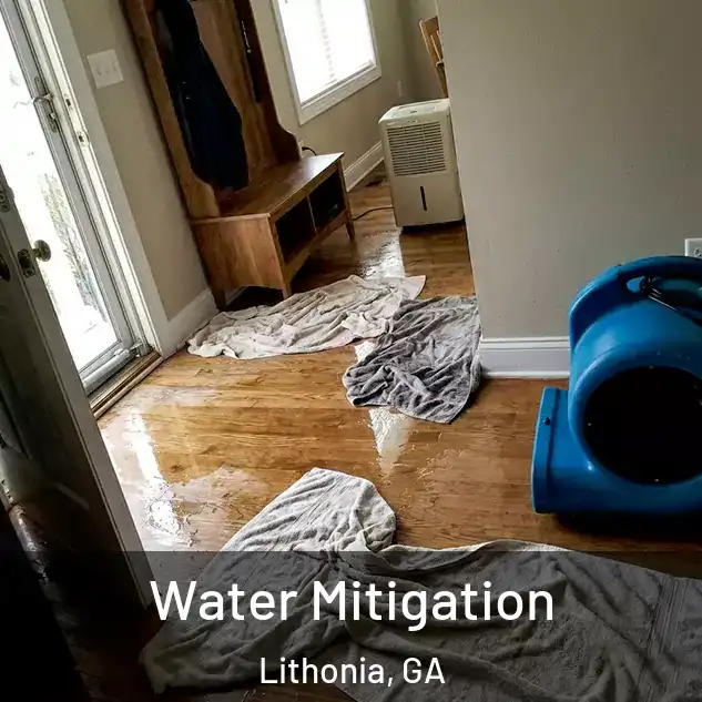  Water Mitigation Lithonia, GA