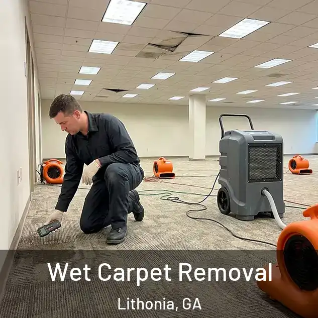  Wet Carpet Removal Lithonia, GA